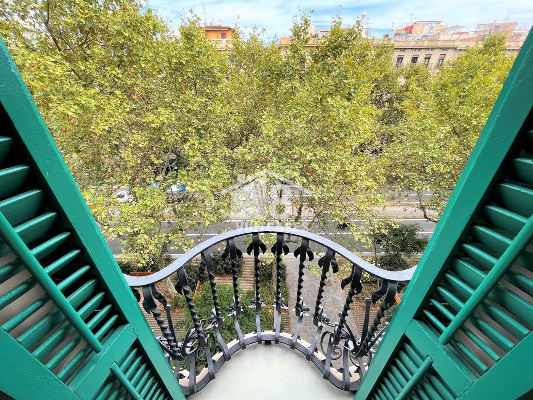 Apartment in Eixample, Barcelona, Spain 1 - 18314442