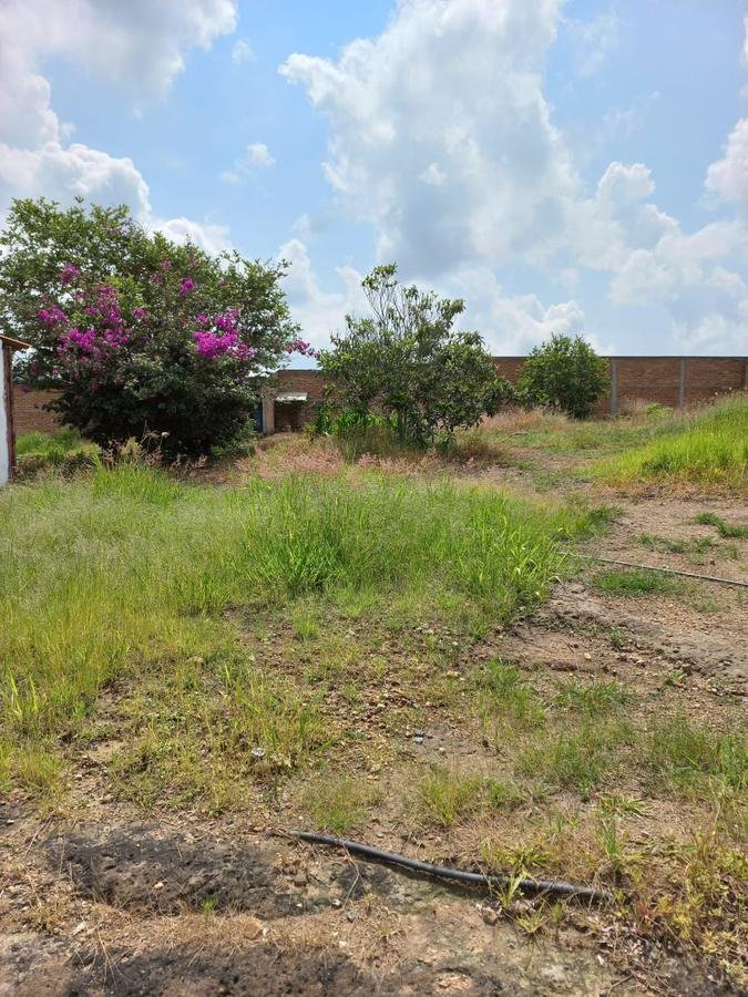 Land in Zapopan, Jalisco, Mexico 3 - 18311435