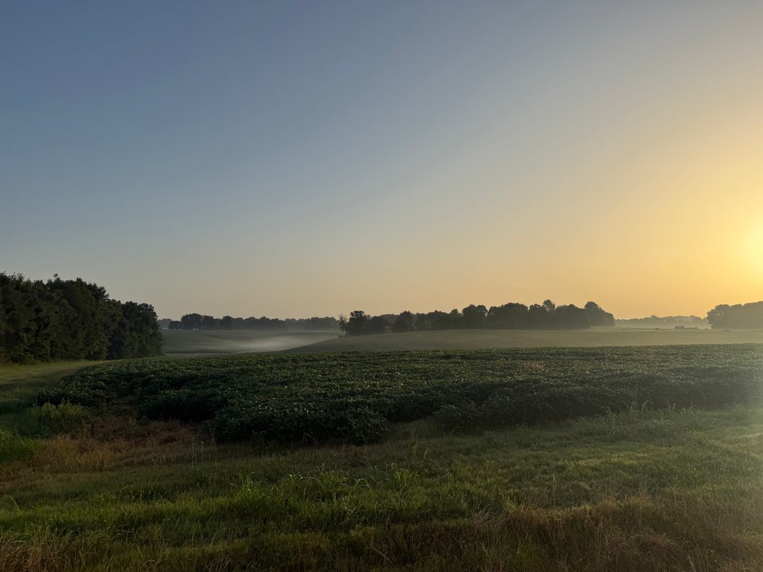 Land in Union City, Tennessee, United States 1 - 16310768