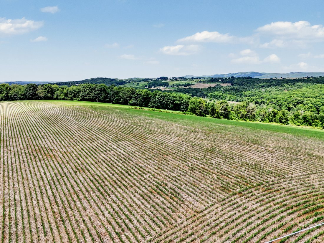 Land in Pine Plains, New York, United States 2 - 18315188