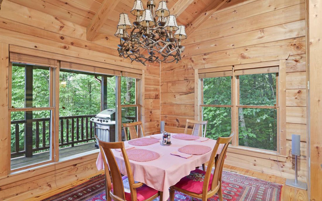 House in Suches, Georgia, United States 3 - 18311843