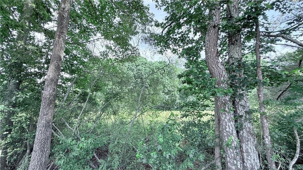 Land in Gainesville, Georgia, United States 5 - 18313578