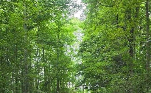 Land in Virginia Beach, Virginia, United States 1