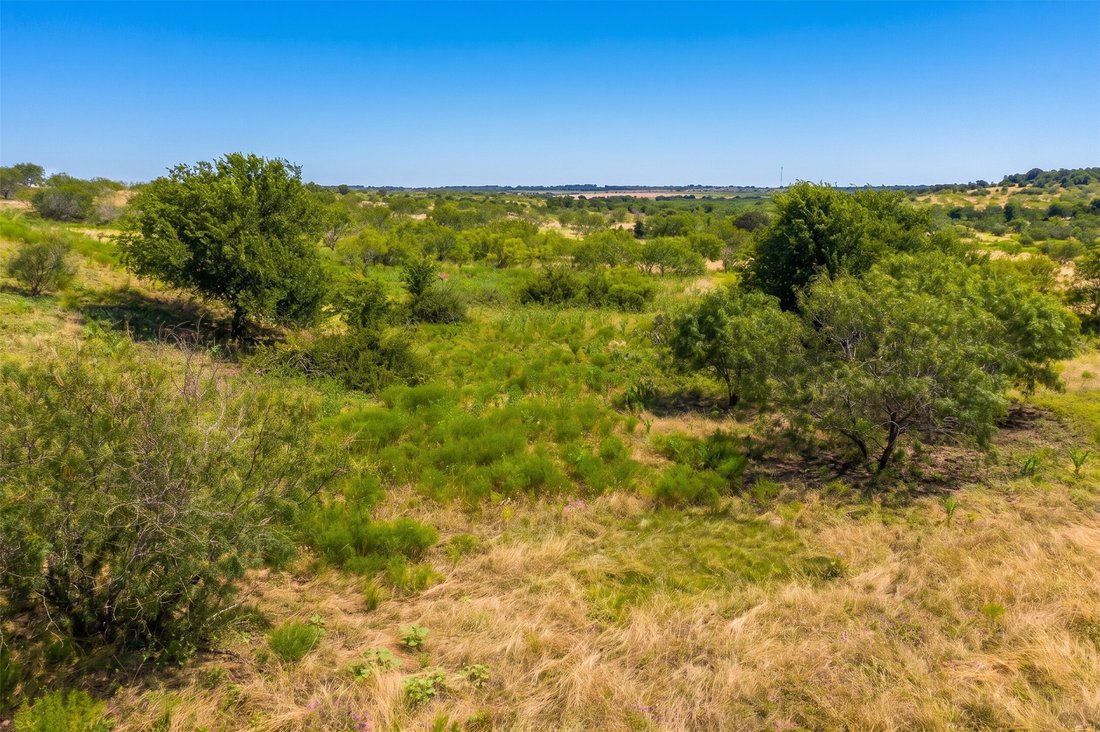 Farm Ranch in Buckholts, Texas, United States 2 - 18313640