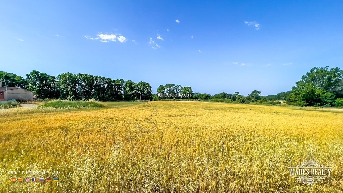Land in Vidreres, Catalonia, Spain 2 - 18311854