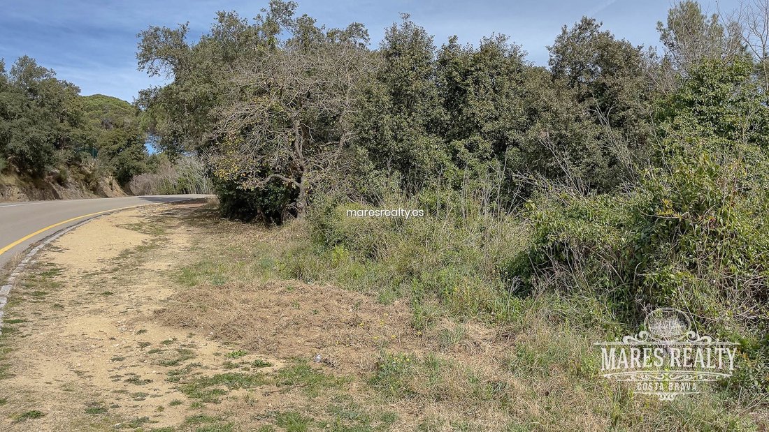 Land in Lloret de Mar, Catalonia, Spain 5 - 18311877