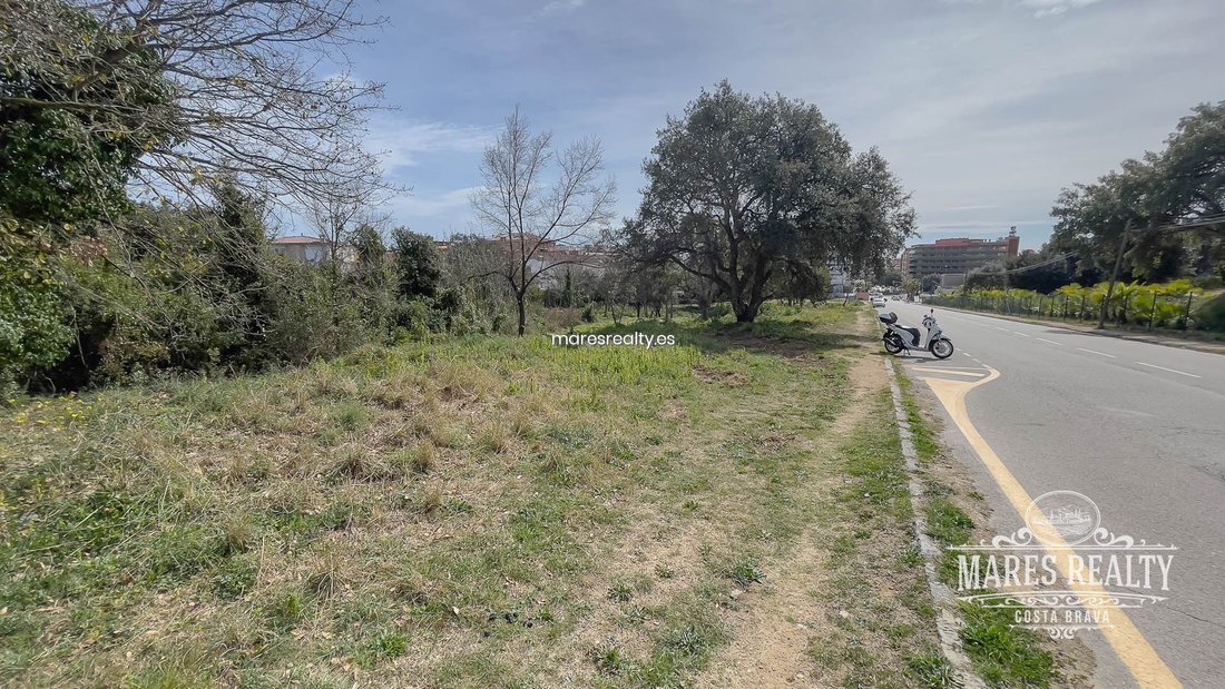 Land in Lloret de Mar, Catalonia, Spain 5 - 18311890