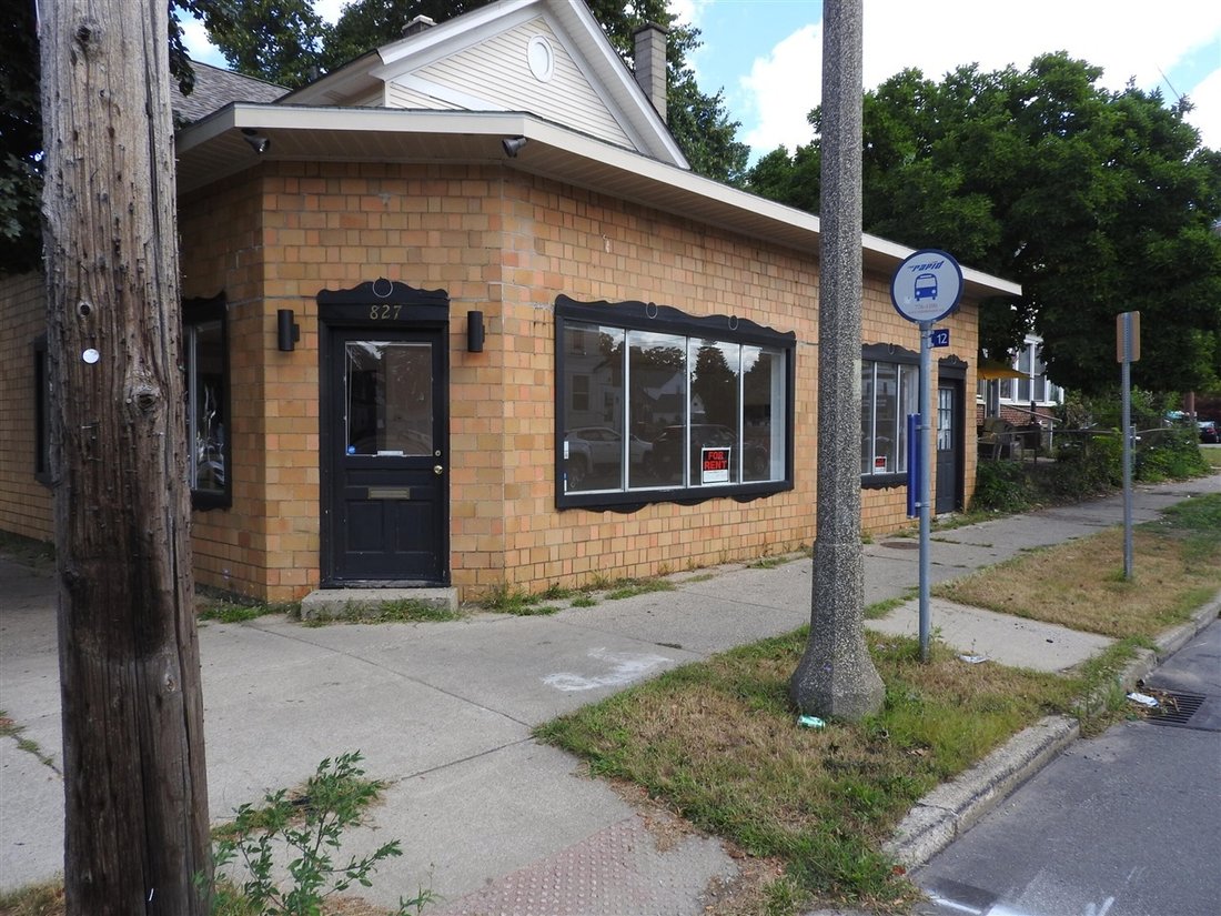 Grand Rapids, Michigan, United States 1 - 18309747
