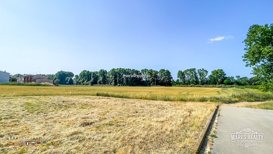 Land in Vidreres, Catalonia, Spain 3 - 18311854