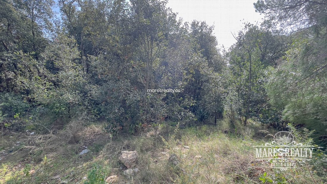 Land in Lloret de Mar, Catalonia, Spain 1 - 18311877