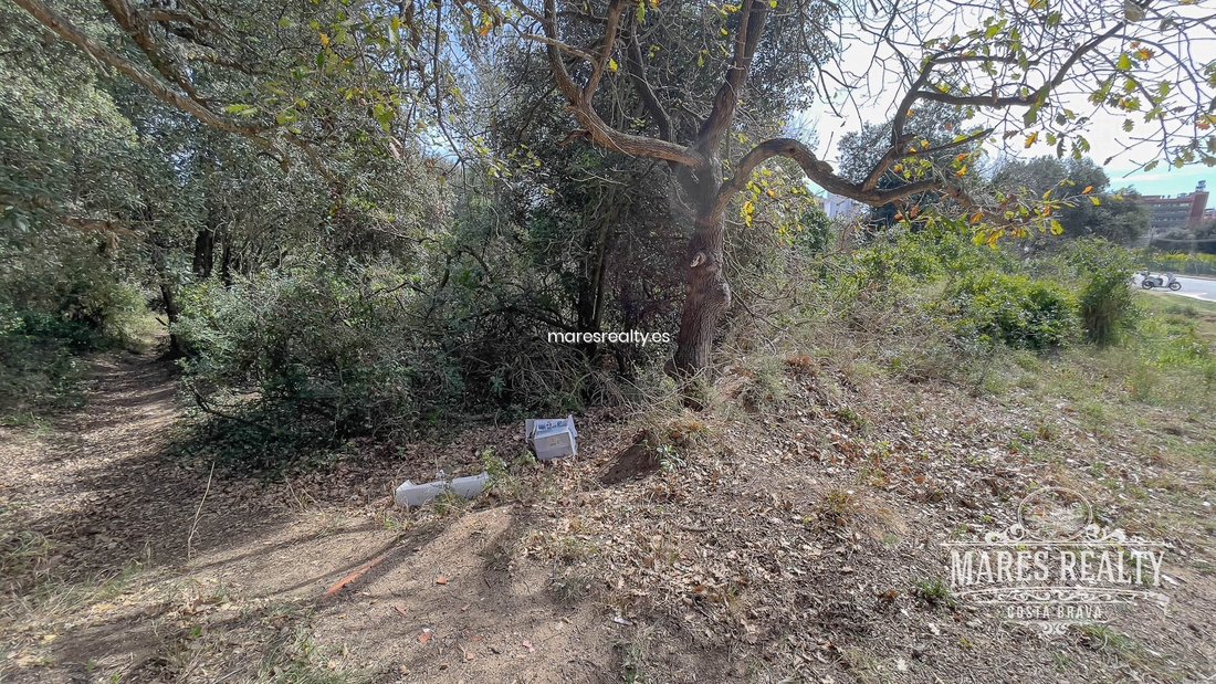 Land in Lloret de Mar, Catalonia, Spain 4 - 18311877