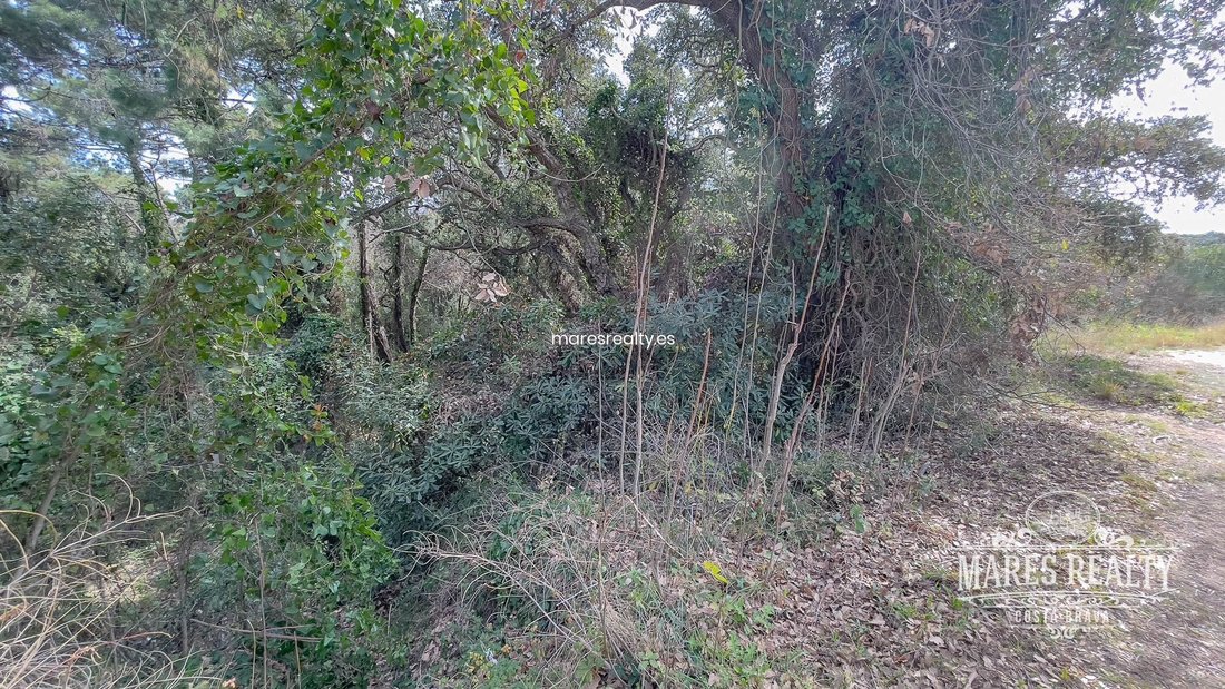 Land in Lloret de Mar, Catalonia, Spain 4 - 18311970
