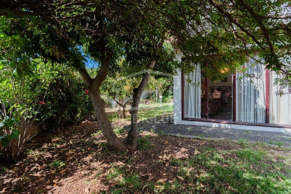 Villa in Sao Pedro, Madeira, Portugal 5 - 18311045