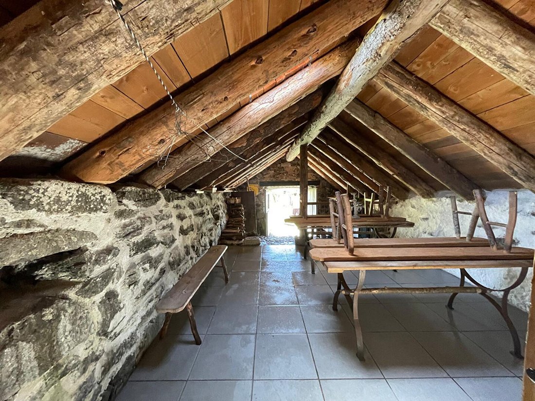 Villa in Saint-Jacques-des-Blats, Auvergne-Rhône-Alpes, France 4 - 18310687