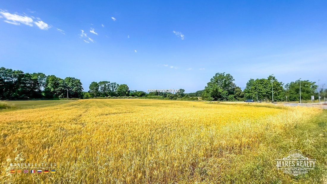 Land in Vidreres, Catalonia, Spain 1 - 18311854