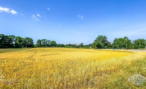 Land in Vidreres, Katalonien, Spanien 1