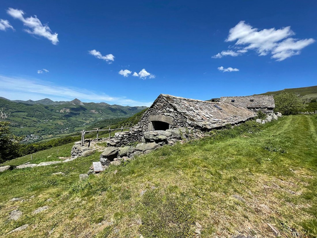 Villa in Saint-Jacques-des-Blats, Auvergne-Rhône-Alpes, France 1 - 18310687