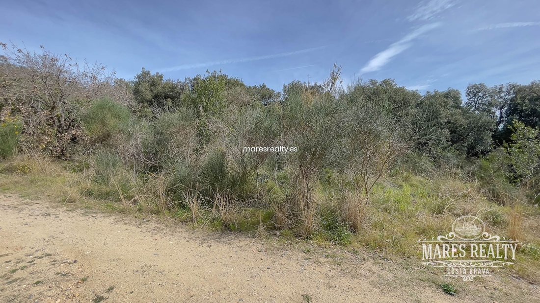 Land in Lloret de Mar, Catalonia, Spain 2 - 18311970