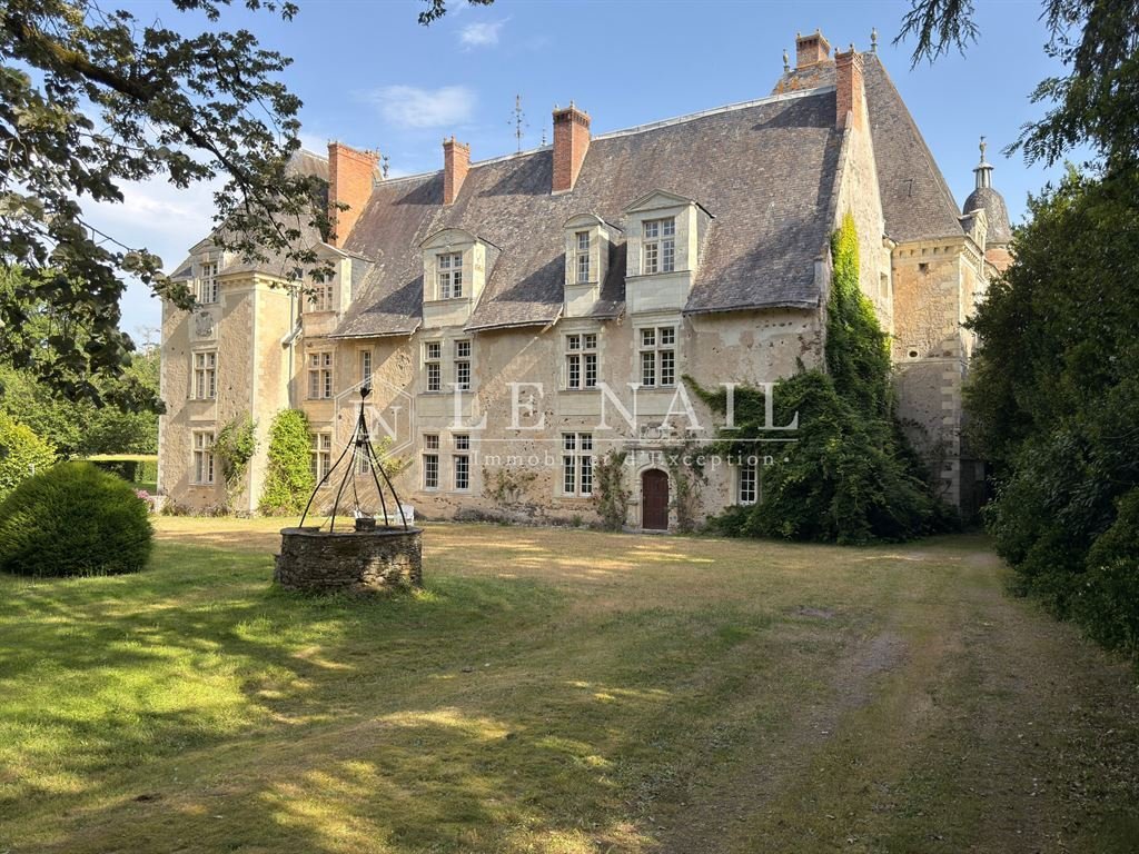 Castle in Le Lion-d'Angers, Pays de la Loire, France 2 - 17082979