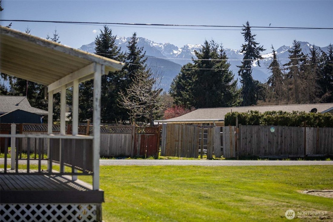 Port Angeles, Washington, United States 3 - 18311439