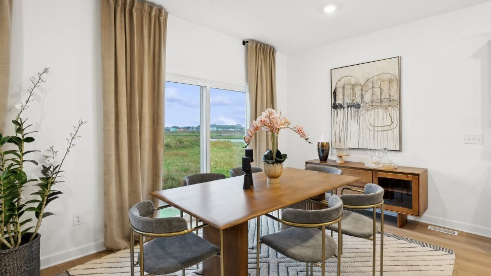 House in Woodbury, Minnesota, United States 5 - 18311088