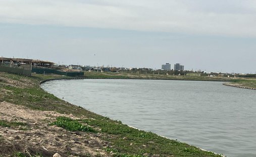 Land in Rincón de Milberg, Buenos Aires Province, Argentina 1