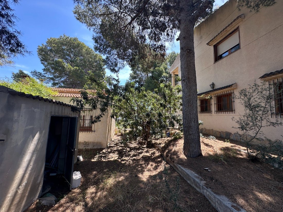 House in Torrevieja, Valencian Community, Spain 5 - 18311172