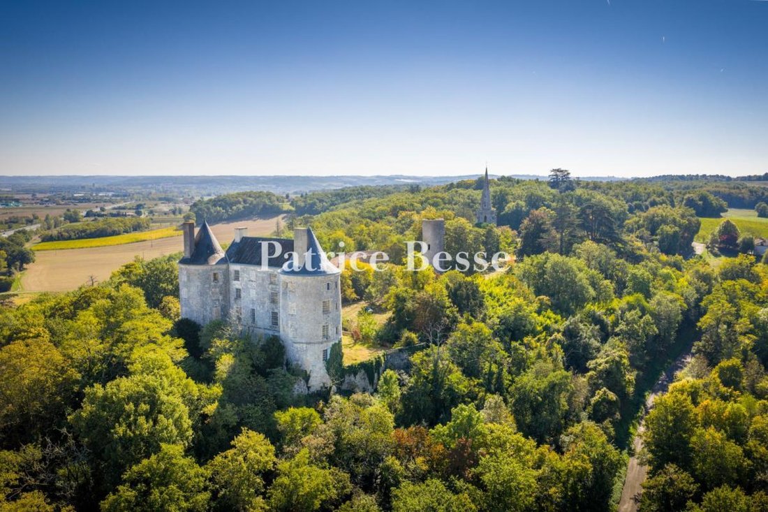 Castle in École Paul Bert-Lycée Bernard Palissy, Agen, France 1 - 18313152