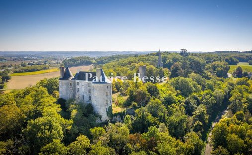 Castle in École Paul Bert-Lycée Bernard Palissy, Agen, France 1