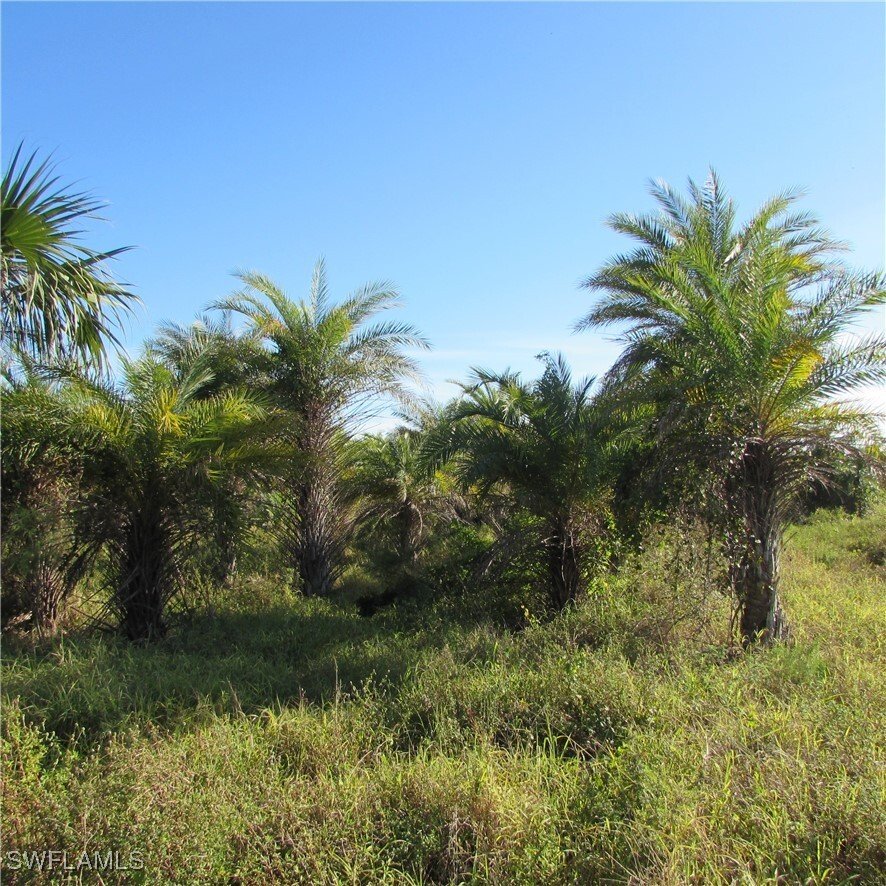Land in Saint James City, Florida, United States 3 - 15765336