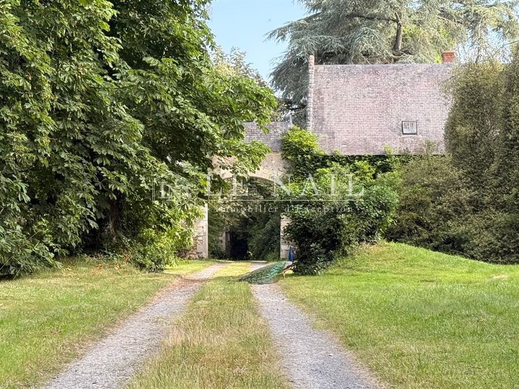 Castle in Le Lion-d'Angers, Pays de la Loire, France 5 - 17082979
