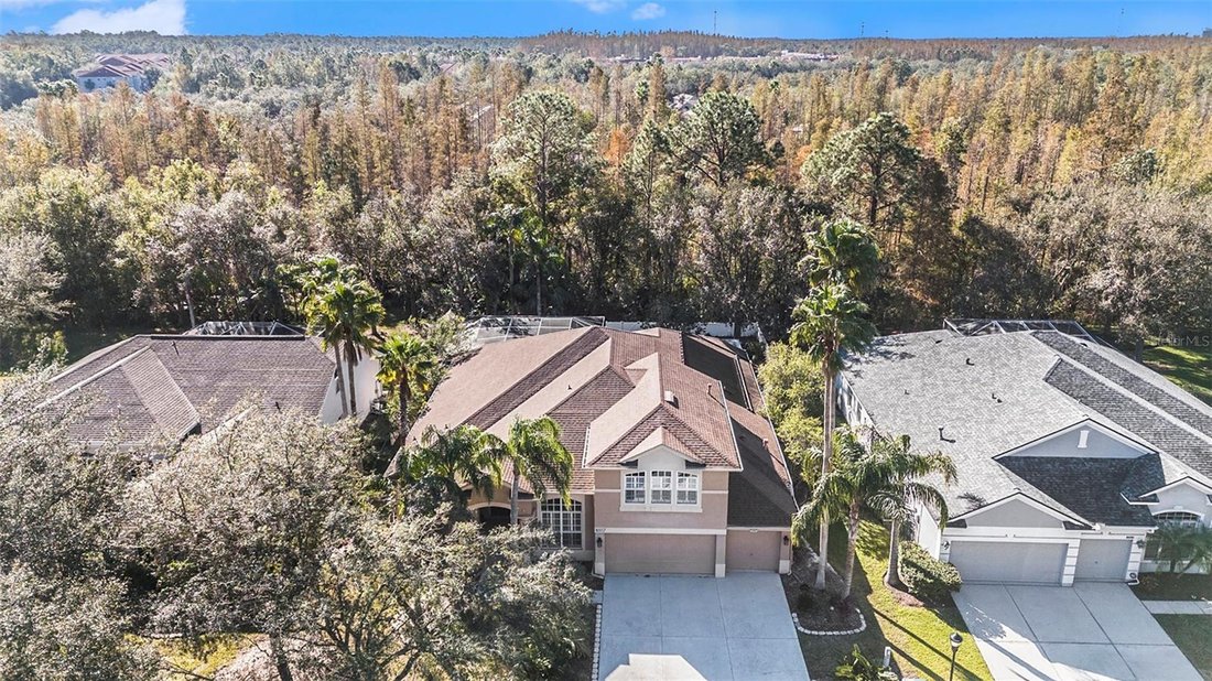 House in Tampa, Florida, United States 5 - 18311933