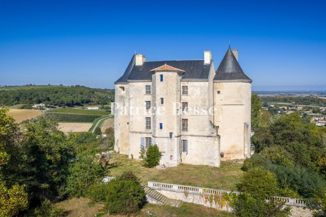 Castle in École Paul Bert-Lycée Bernard Palissy, Agen, France 2 - 18313152