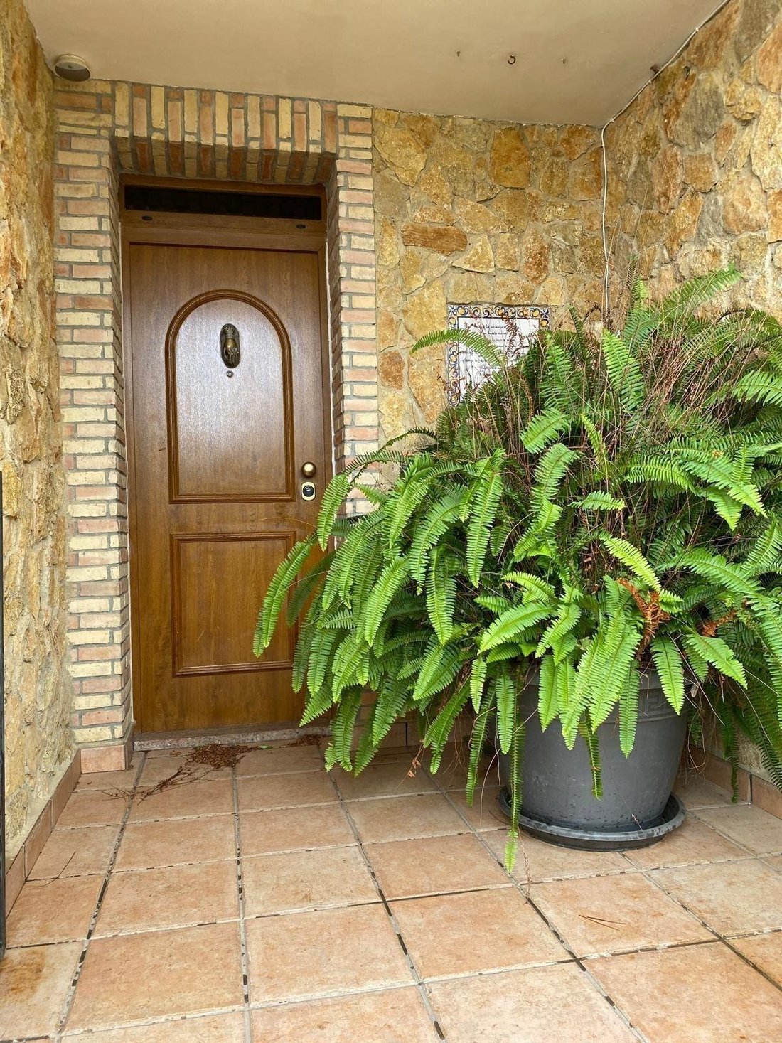 House in Orihuela, Valencian Community, Spain 1 - 18311307