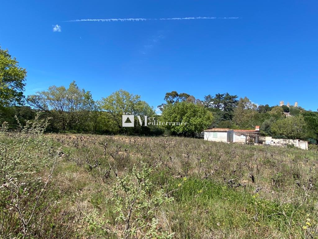 Land in Grimaud, Provence-Alpes-Côte d'Azur, France 5 - 18313633
