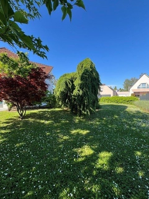 House in Ouest, La Wantzenau, France 4 - 18315394