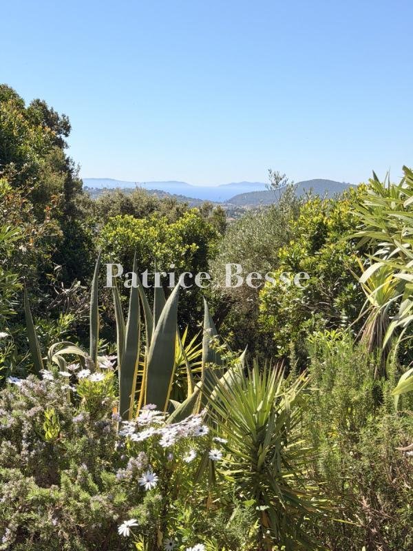 Villa in Sud, Cavalaire-sur-Mer, Frankreich 3 - 18313251