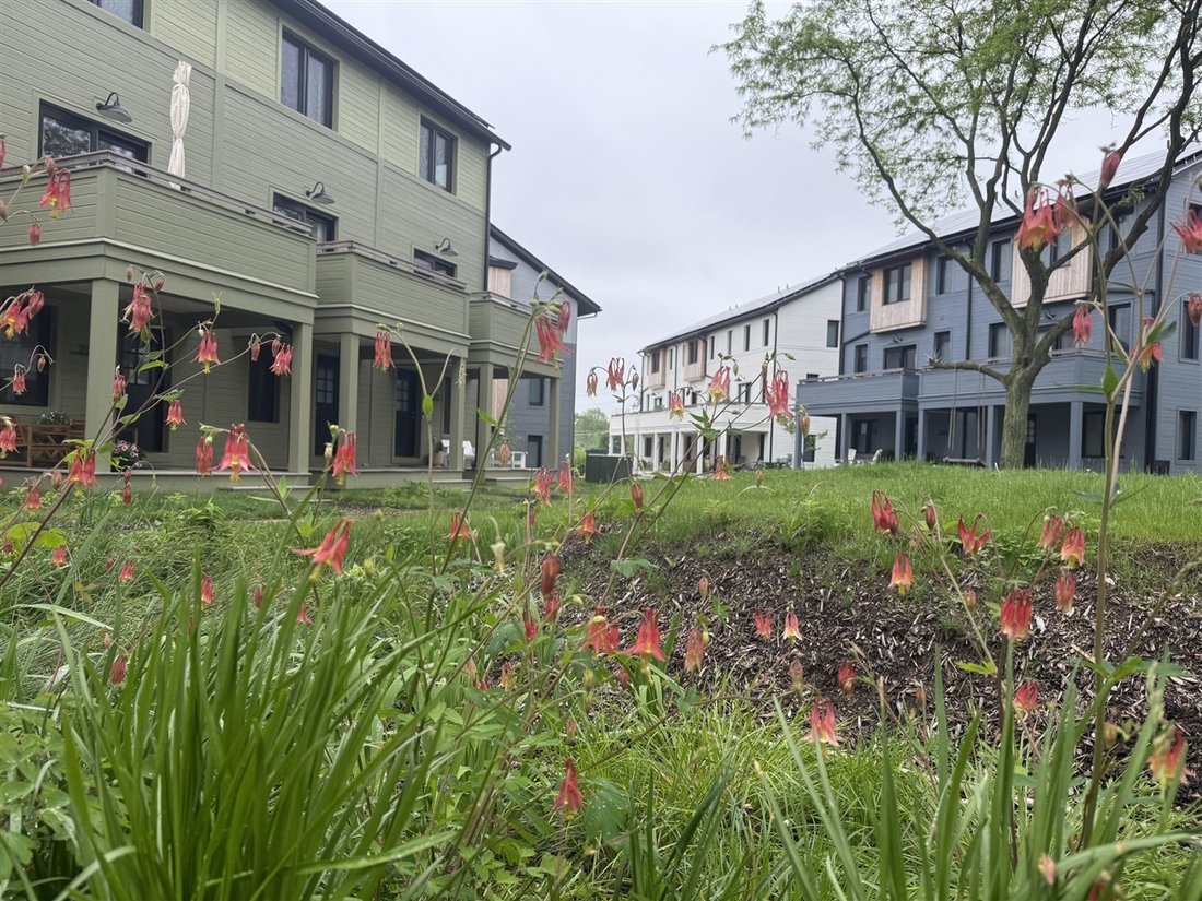 Condo in Ann Arbor, Michigan, United States 4 - 18309894