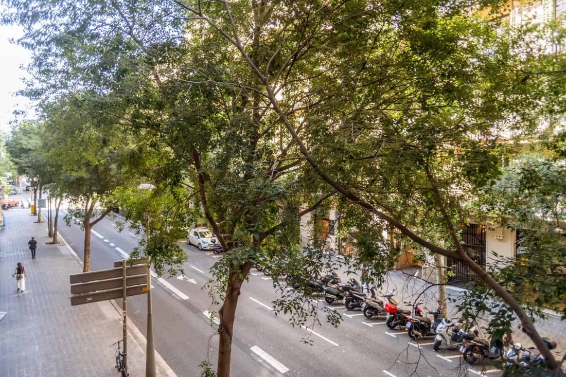 Apartment in Eixample, Barcelona, Spain 3 - 18312221