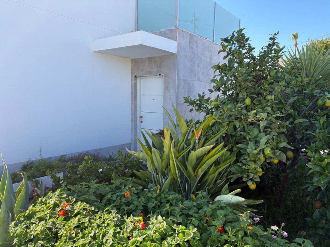 House in Torrevieja, Valencian Community, Spain 4 - 18310802