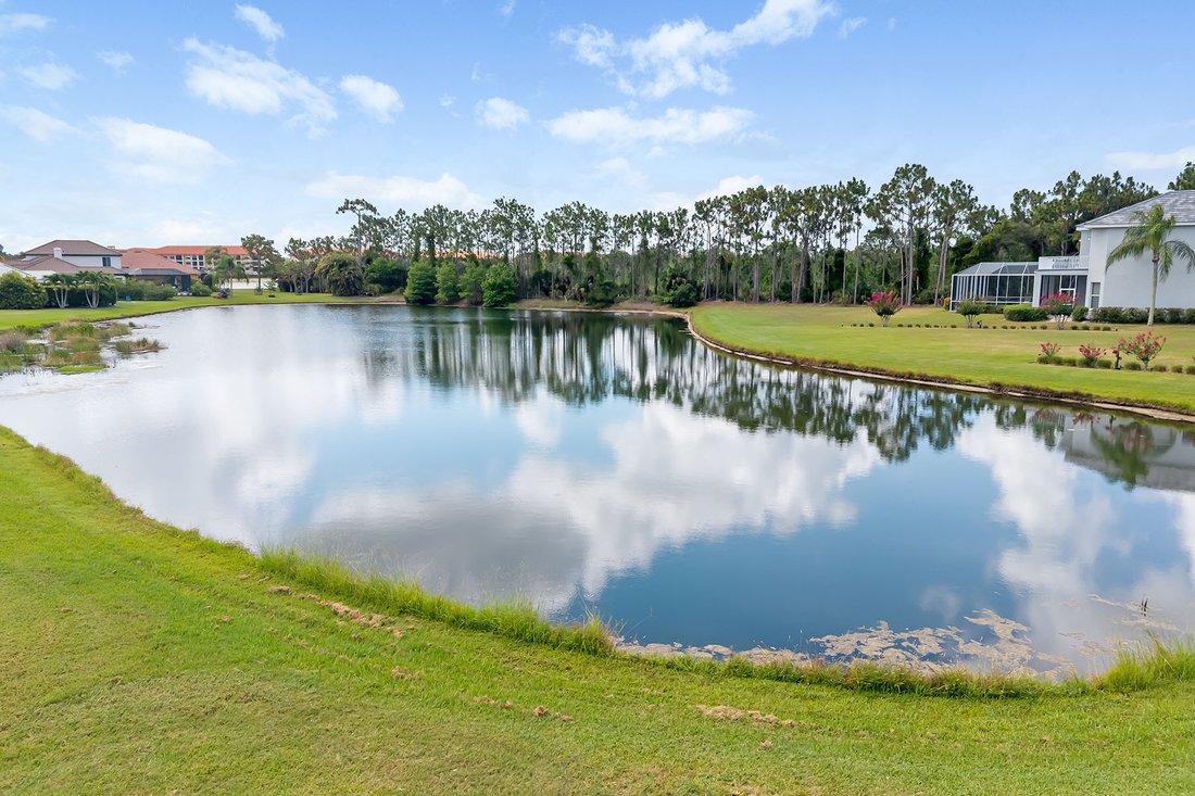 Bradenton, Florida, United States 4 - 18315631