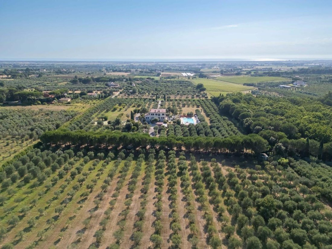 Villa in Cecina Centro, Cecina, Tuscany 3 - 18312940