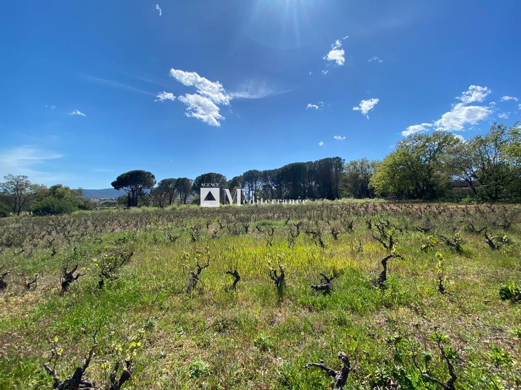 Land in Grimaud, Provence-Alpes-Côte d'Azur, France 1 - 18313633