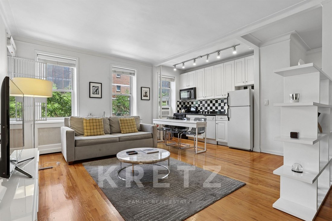 Apartment in New York, New York, United States 2 - 18314258