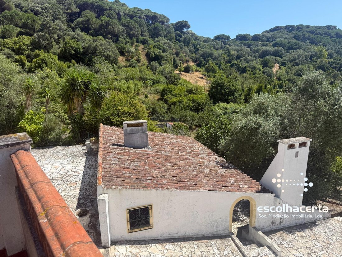 Country House in Quinta do Anjo, Setubal, Portugal 4 - 18315811
