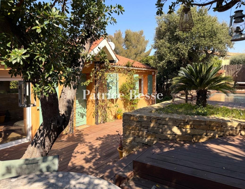Villa in Sud, Le Pradet, France 1 - 18313243