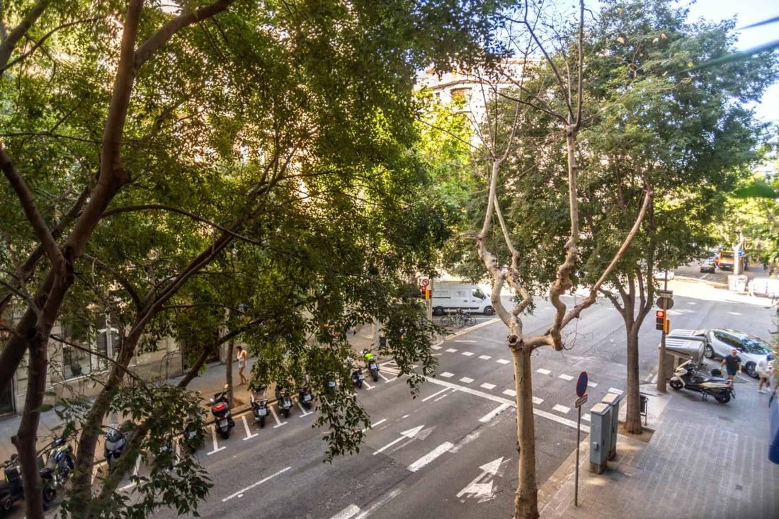 Apartment in Eixample, Barcelona, Spain 2 - 18312221