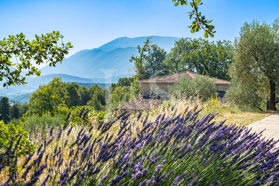 House in Entrechaux, Provence-Alpes-Côte d'Azur, France 2 - 18316480