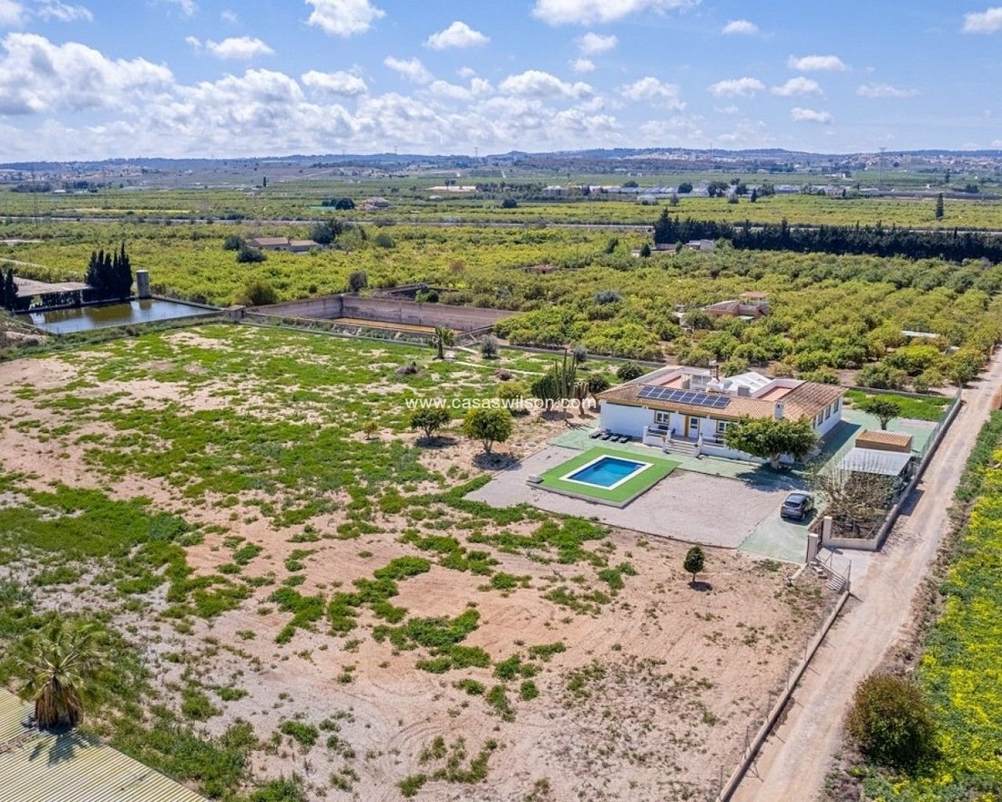 Haus in San Miguel de Salinas, Land Valencia, Spanien 2 - 18310821