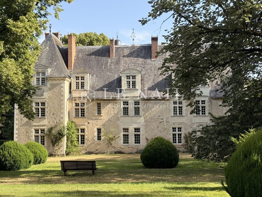 Castle in Le Lion-d'Angers, Pays de la Loire, France 3 - 17082979